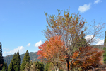 DSC_2052.jpg