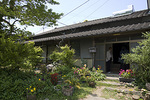 IMGP4147.jpg