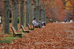 autumn 2.jpg