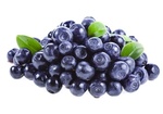blueberry 2.jpg