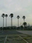 070803_1848~01001.jpg