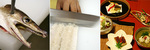 pike eel 2.jpg
