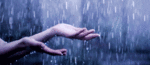 rain 2.gif