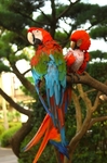 zoo pic.jpg